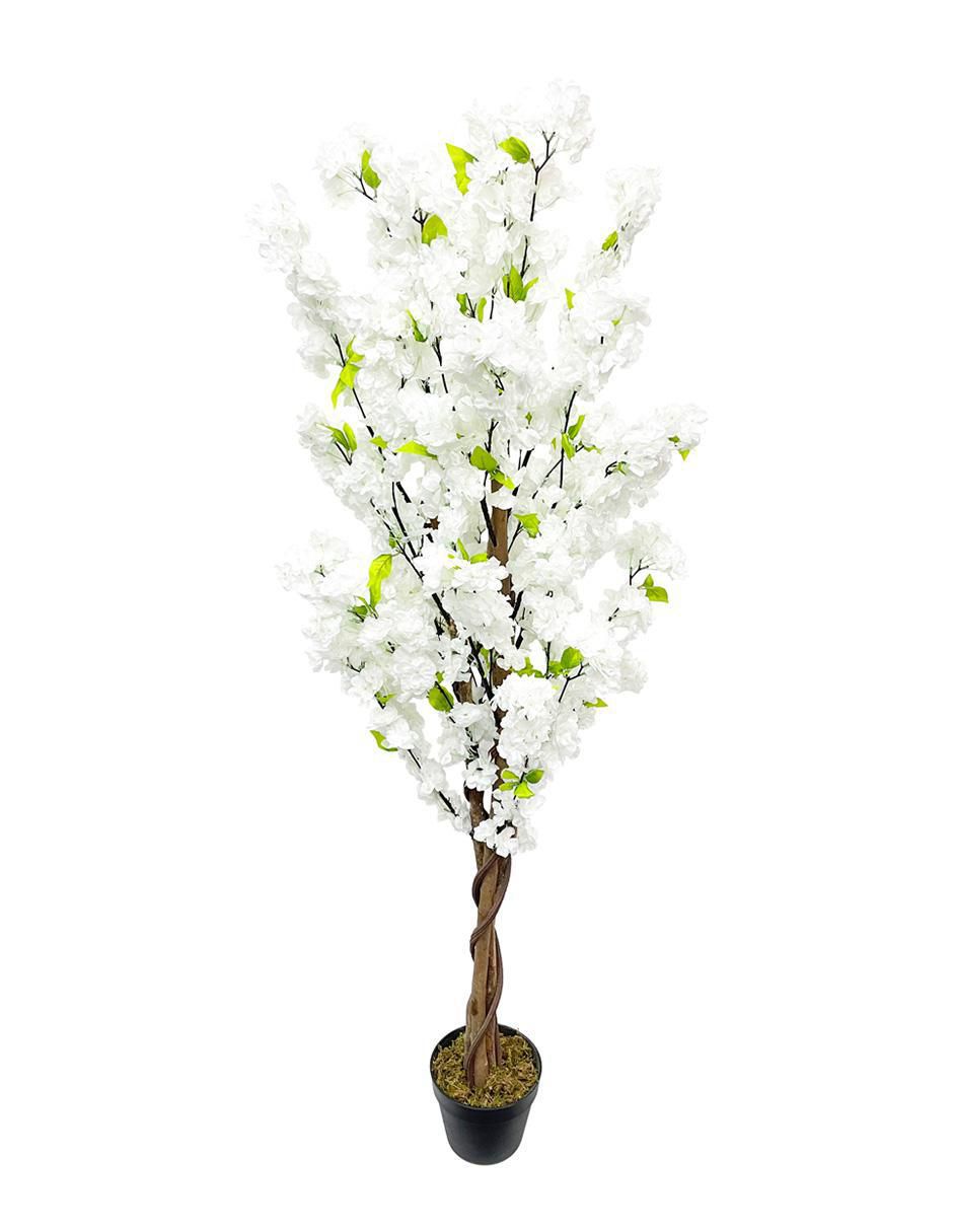 Cerezo artificial Vanlig